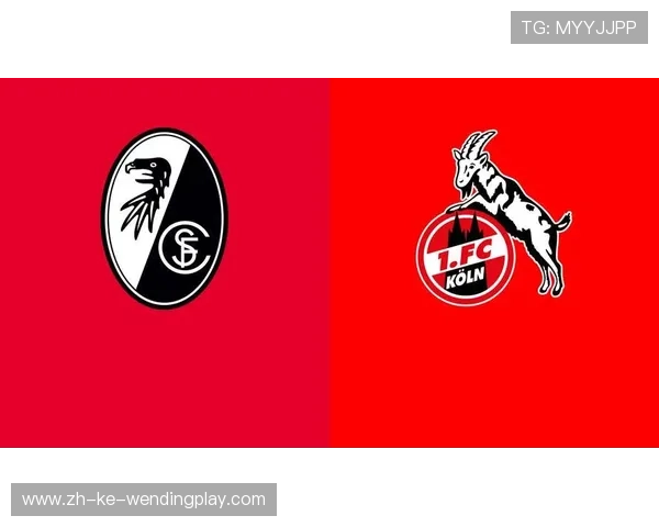 德甲联赛所有球队的队标图片合集 德甲联赛所有球队的队标图片合集