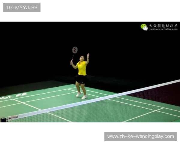 羽毛球切球图解gif