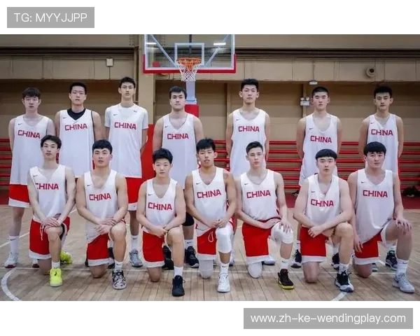 湖北省CBA篮球队发展状况及潜力分析报告