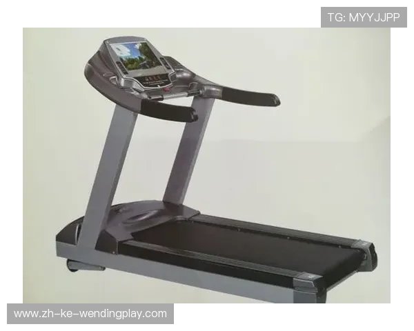 高端健身器材市场现状及品牌旗舰产品介绍