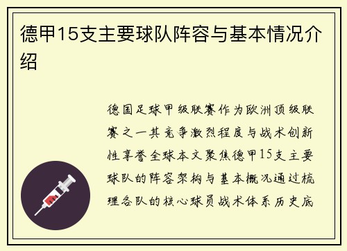 德甲15支主要球队阵容与基本情况介绍